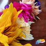 6-8" Stripped Coque Fringe (1/2 Yard)