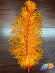 19-22" Striped Ostrich Plumes