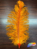 19-22" Striped Ostrich Plumes