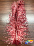 19-22" Striped Ostrich Plumes