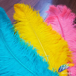 18-22" Ostrich Plumes