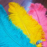 18-22" Ostrich Plumes