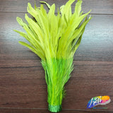 12-14" 2-tone Bleached Dyed Coque Fringe (1/2 Yard)