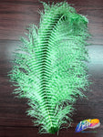19-22" Striped Ostrich Plumes