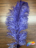 19-22" Striped Ostrich Plumes