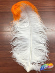 19-22" 2-tone Ostrich Plumes
