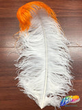 19-22" 2-tone Ostrich Plumes