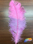 19-22" 2-tone Ostrich Plumes