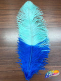 19-22" 2-tone Ostrich Plumes