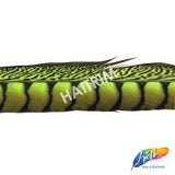 30-35" Natural Dyed Lady Amherst Pheasant Tails