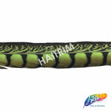 30-35" Natural Dyed Lady Amherst Pheasant Tails