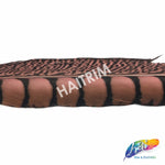 30-35" Natural Dyed Lady Amherst Pheasant Tails