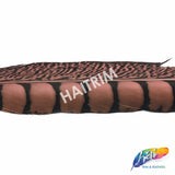 30-35" Natural Dyed Lady Amherst Pheasant Tails
