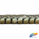 30-35" Natural Dyed Lady Amherst Pheasant Tails