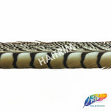 30-35" Natural Dyed Lady Amherst Pheasant Tails