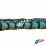 30-35" Natural Dyed Lady Amherst Pheasant Tails