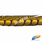 30-35" Natural Dyed Lady Amherst Pheasant Tails