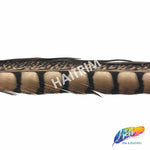30-35" Natural Dyed Lady Amherst Pheasant Tails