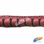 30-35" Natural Dyed Lady Amherst Pheasant Tails