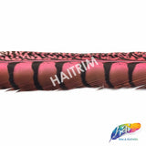30-35" Natural Dyed Lady Amherst Pheasant Tails