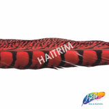 30-35" Natural Dyed Lady Amherst Pheasant Tails