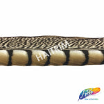 30-35" Natural Dyed Lady Amherst Pheasant Tails