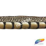 30-35" Natural Dyed Lady Amherst Pheasant Tails