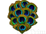 Peacock Eye Feather Pads