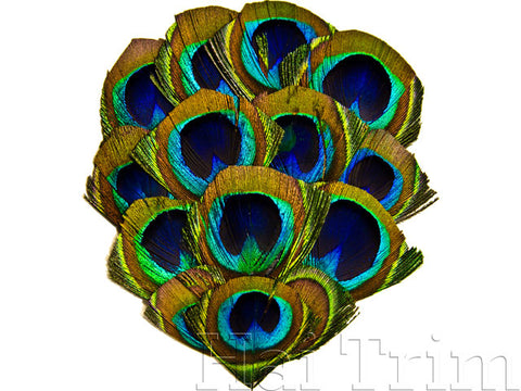 Peacock Eye Feather Pads