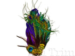 Peacock Collage Feather Pads