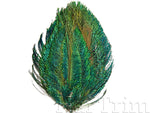 Peacock Sword Feather Pads