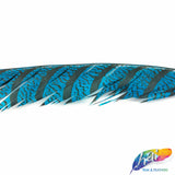 30-35” Natural Dyed Zebra Pheasant Tails