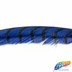 30-35” Natural Dyed Zebra Pheasant Tails