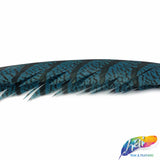 30-35” Natural Dyed Zebra Pheasant Tails