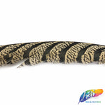 30-35” Natural Dyed Zebra Pheasant Tails