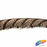 30-35” Natural Dyed Zebra Pheasant Tails