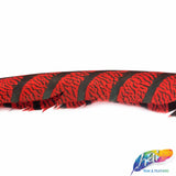 30-35” Natural Dyed Zebra Pheasant Tails