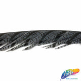 30-35” Natural Dyed Zebra Pheasant Tails