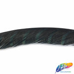 30-35” Natural Dyed Zebra Pheasant Tails